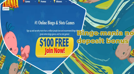 Bingo mania no deposit bonus