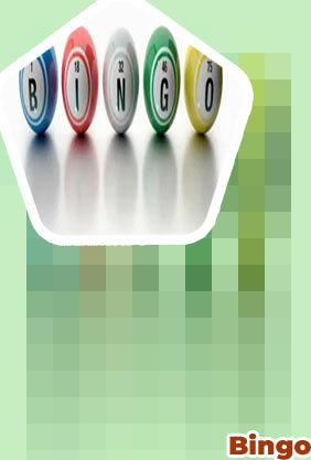 Bingo offers