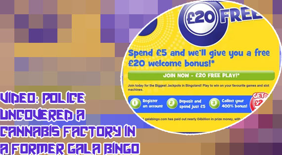 Gala bingo desktop site